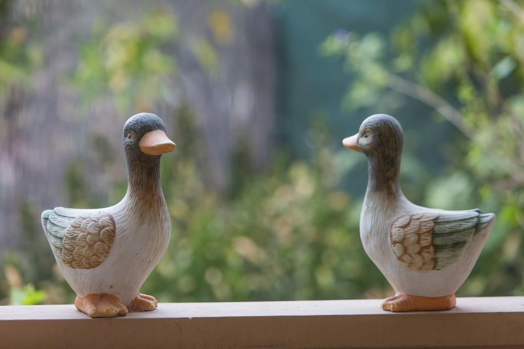Leyad Hashmura Lodging イェソード・ハマアラ エクステリア 写真